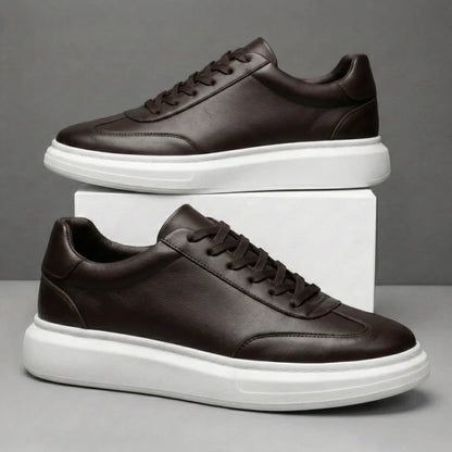 NOAH — Baskets Homme Élégantes Marron