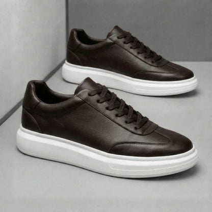 NOAH — Baskets Homme Élégantes Marron